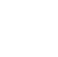 Vibe Logo