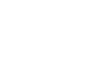 IU International University of Applied Sciences Logo
