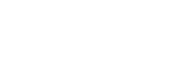 Vidma Security Logo
