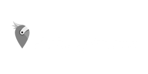 Holiday Pirates Logo