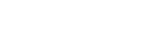 Netactica Logo