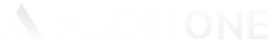 AuditOne Logo