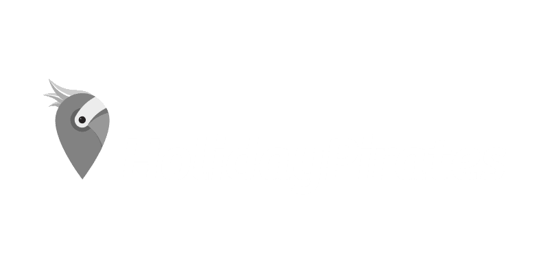 Holiday Pirates